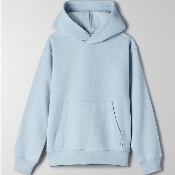 Aritzia Sweaters - Aritzia Perfect Hoodie